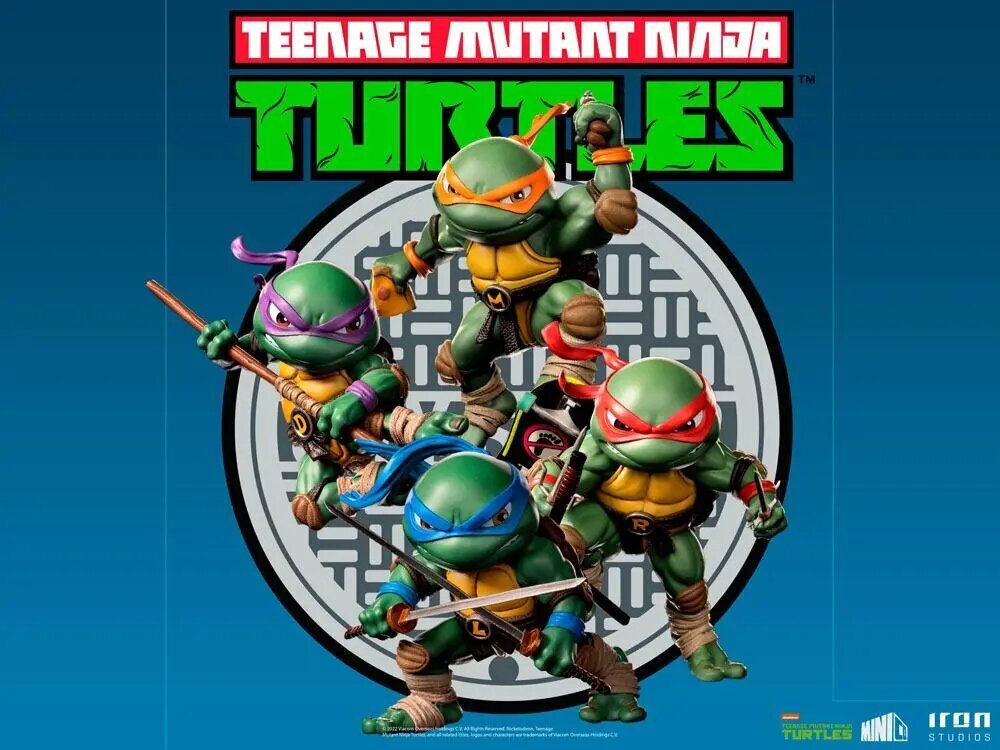 Figuur Teenage Mutant Ninja Turtles Mini Co, 20 cm hind ja info | Poiste mänguasjad | kaup24.ee