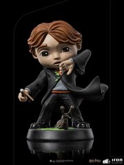 Figuur Iron Studios Harry Potter, Ron Weasley katkise pulgaga, 14 cm hind ja info | Poiste mänguasjad | kaup24.ee