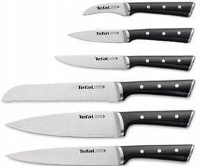 Nugade komplekt Tefal Ice Force K2320414, 6 tk. цена и информация | Подставка для ножей Tescoma Woody, 21 см | kaup24.ee