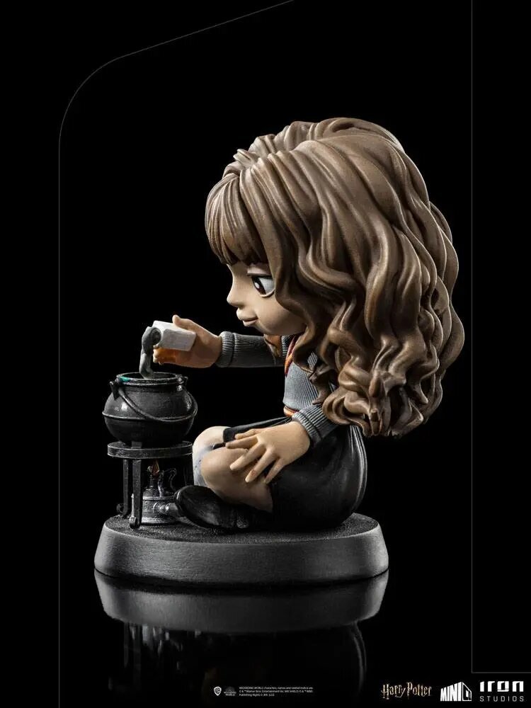 Figuur Iron Studios Harry Potter, Hermione Granger Polyjuice 12 cm hind ja info | Poiste mänguasjad | kaup24.ee