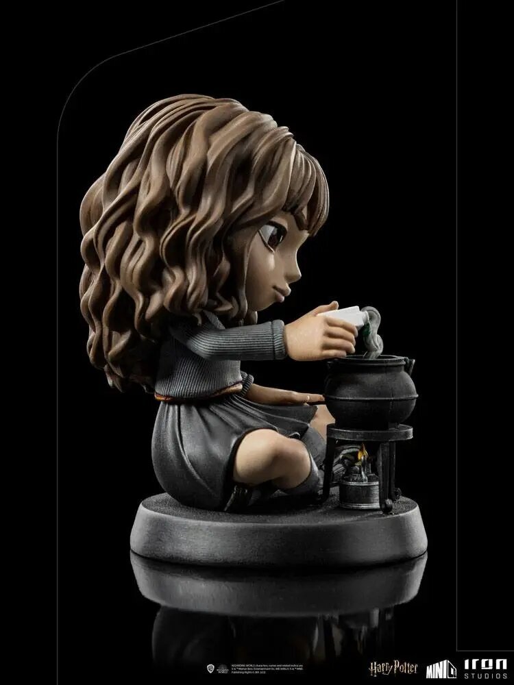 Figuur Iron Studios Harry Potter, Hermione Granger Polyjuice 12 cm hind ja info | Poiste mänguasjad | kaup24.ee