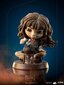 Figuur Iron Studios Harry Potter, Hermione Granger Polyjuice 12 cm hind ja info | Poiste mänguasjad | kaup24.ee