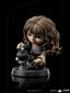 Figuur Iron Studios Harry Potter, Hermione Granger Polyjuice 12 cm hind ja info | Poiste mänguasjad | kaup24.ee