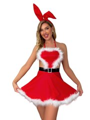 Seksikas kleit Christmas Surprise Bunny цена и информация | Сексуальное женское белье | kaup24.ee