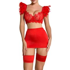 Комплект нижнего белья из двух частей Amazing Red, красный цена и информация | Сексуальное женское белье | kaup24.ee