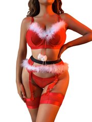 Комплект нижнего белья из четырех частей Hot Christmas, красный цена и информация | Сексуальное женское белье | kaup24.ee