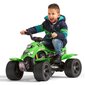 Laste elektriline jalgratas FALK, roheline hind ja info | Laste elektriautod | kaup24.ee
