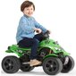 Laste elektriline jalgratas FALK, roheline hind ja info | Laste elektriautod | kaup24.ee