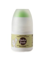 Rull deodorant ingveri ja sidruniga Bio, 50 ml цена и информация | Дезодоранты | kaup24.ee