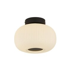 Searchlight laelamp Lumina 10271-1BK цена и информация | Потолочные светильники | kaup24.ee