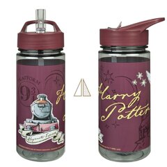 Joogipudel Harry Potter, 500ml hind ja info | Fännitooted mänguritele | kaup24.ee