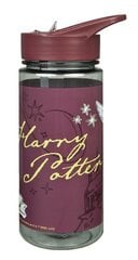 Бутылка Гарри Поттер  500 мл цена и информация | Фляги для воды | kaup24.ee
