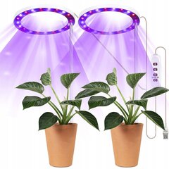 4x LED PLANT GROWING LAMP RED цена и информация | Проращиватели, лампы для растений | kaup24.ee