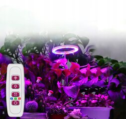 4x LED PLANT GROWING LAMP RED цена и информация | Проращиватели, лампы для растений | kaup24.ee