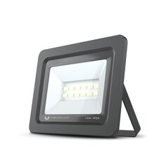 Kohtvalgusti LED PROXIM II 10W |6000K| IP66 Forever Light, must цена и информация | Уличное освещение | kaup24.ee