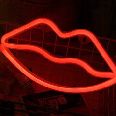 NEON LED HANGING USTA WALL LAMP USB 3xAA цена и информация | Детали интерьера | kaup24.ee