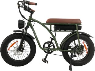 Электровелосипед Bezior XF001, 20", зеленый, 1000Вт, 12,5Ач цена и информация | Электровелосипеды | kaup24.ee
