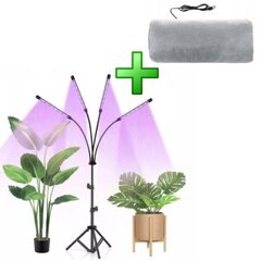 Grow Light 4 tk + käte soojendaja цена и информация | Проращиватели, лампы для растений | kaup24.ee