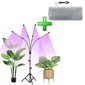 Grow Light 4 tk + käte soojendaja hind ja info | Nutipotid ja taimelambid | kaup24.ee
