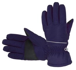 Детские утепленные перчатки Hofler 183642 02, тёмно-синие, 183642*02-XL цена и информация | Шапки, перчатки, шарфы для мальчиков | kaup24.ee