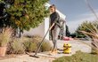 Karcher WD 2 Plus V-12/6/18/C (YYY) 1.628-015.0 цена и информация | Tolmuimejad | kaup24.ee