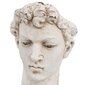 Skulptuur David 33 cm цена и информация | Sisustuselemendid | kaup24.ee