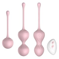 Комплект вагинальных шариков, 3 шт. + пульт дистанционного управления цена и информация | Вибраторы | kaup24.ee