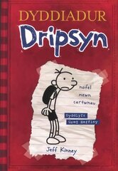 Dyddiadur Dripsyn цена и информация | Книги для подростков и молодежи | kaup24.ee