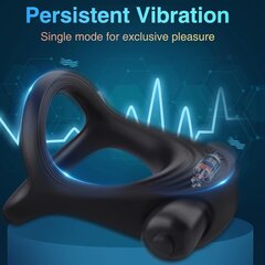 Vibraator – peeniserõngas hind ja info | BDSM ja fetish | kaup24.ee