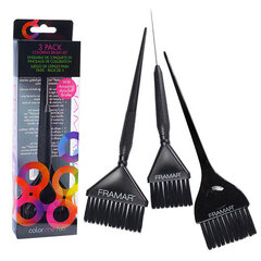 Framar Family Pack Brush Set цена и информация | Краска для волос | kaup24.ee