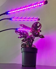 Grow Light, 3 tk + Käte soojendaja цена и информация | Проращиватели, лампы для растений | kaup24.ee