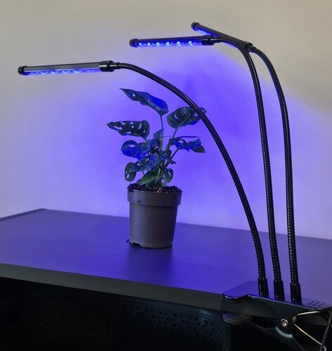 Grow Light, 3 tk + Käte soojendaja hind ja info | Nutipotid ja taimelambid | kaup24.ee