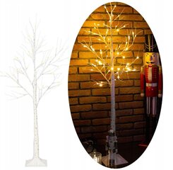 Jõulukaunistus LED Birch Springos CL0952 цена и информация | Декорации | kaup24.ee