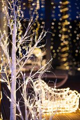 Jõulukaunistus LED Birch Springos CL0952 цена и информация | Рождественские украшения | kaup24.ee