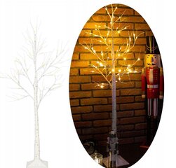 Jõulukaunistus LED Birch Springos CL0953 цена и информация | Декорации | kaup24.ee
