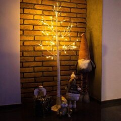 Jõulukaunistus LED Birch Springos CL0950 цена и информация | Декорации | kaup24.ee