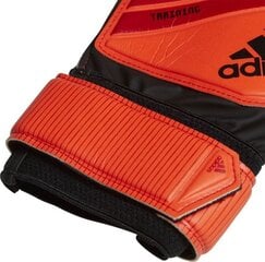 Väravavahikindad Adidas DN8563*10, oranž hind ja info | Väravavahi kindad | kaup24.ee