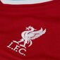 Jalgpallivarustuse komplekt Nike Liverpool FC Home CZ2636, suurus L, punane hind ja info | Jalgpalli varustus ja riided | kaup24.ee