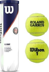 Välitennisepallid Wilson Roland Garos All Court 4 WRT116400, 4 tk hind ja info | Välitennise tooted | kaup24.ee