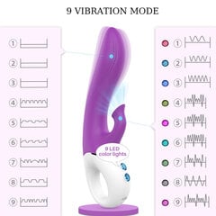 Vibraator hind ja info | Vibraatorid | kaup24.ee