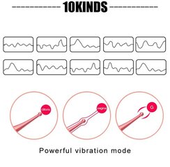 Клиторальный вибратор 2in1 цена и информация | Вибраторы | kaup24.ee