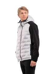 Куртка мужская софтшелл Luhta ALAVO, серо-черный цвет цена и информация | Мужские куртки | kaup24.ee