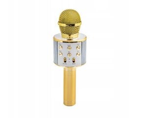Karaoke mikrofon Appio, kuldne hind ja info | Arendavad mänguasjad | kaup24.ee