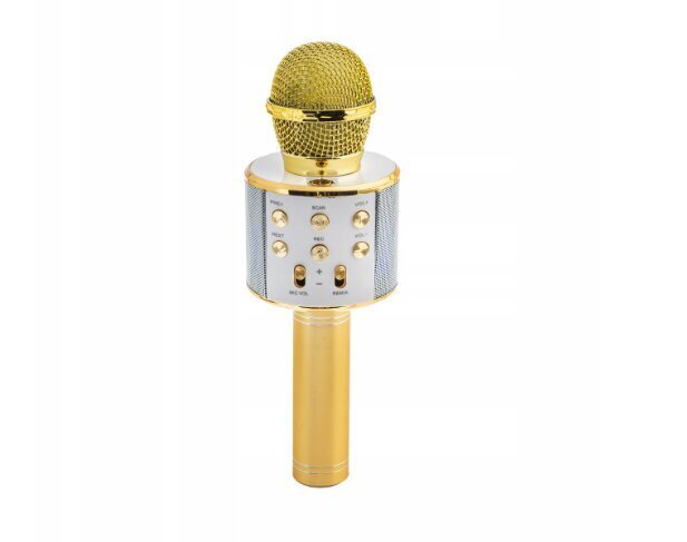 Karaoke mikrofon Appio, kuldne цена и информация | Arendavad mänguasjad | kaup24.ee