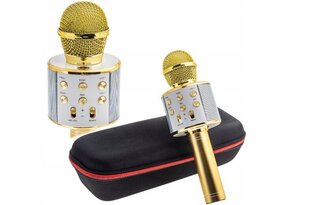 Karaoke mikrofon Appio, kuldne цена и информация | Развивающие игрушки | kaup24.ee