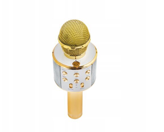 Karaoke mikrofon Appio, kuldne цена и информация | Arendavad mänguasjad | kaup24.ee