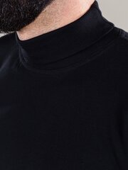 Bодолазка для мужчин Roni 23138 01, черный 23138*01-4XL цена и информация | Мужские футболки | kaup24.ee