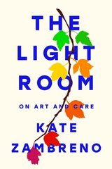 Light Room цена и информация | Биографии, автобиогафии, мемуары | kaup24.ee