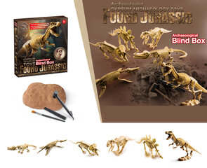 Игрушечный набор для археологических раскопок - скелет динозавра цена и информация | Развивающие игрушки и игры | kaup24.ee