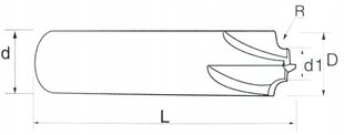 Freesi tarvik Ralmetal 45 HRC hind ja info | Freesid | kaup24.ee